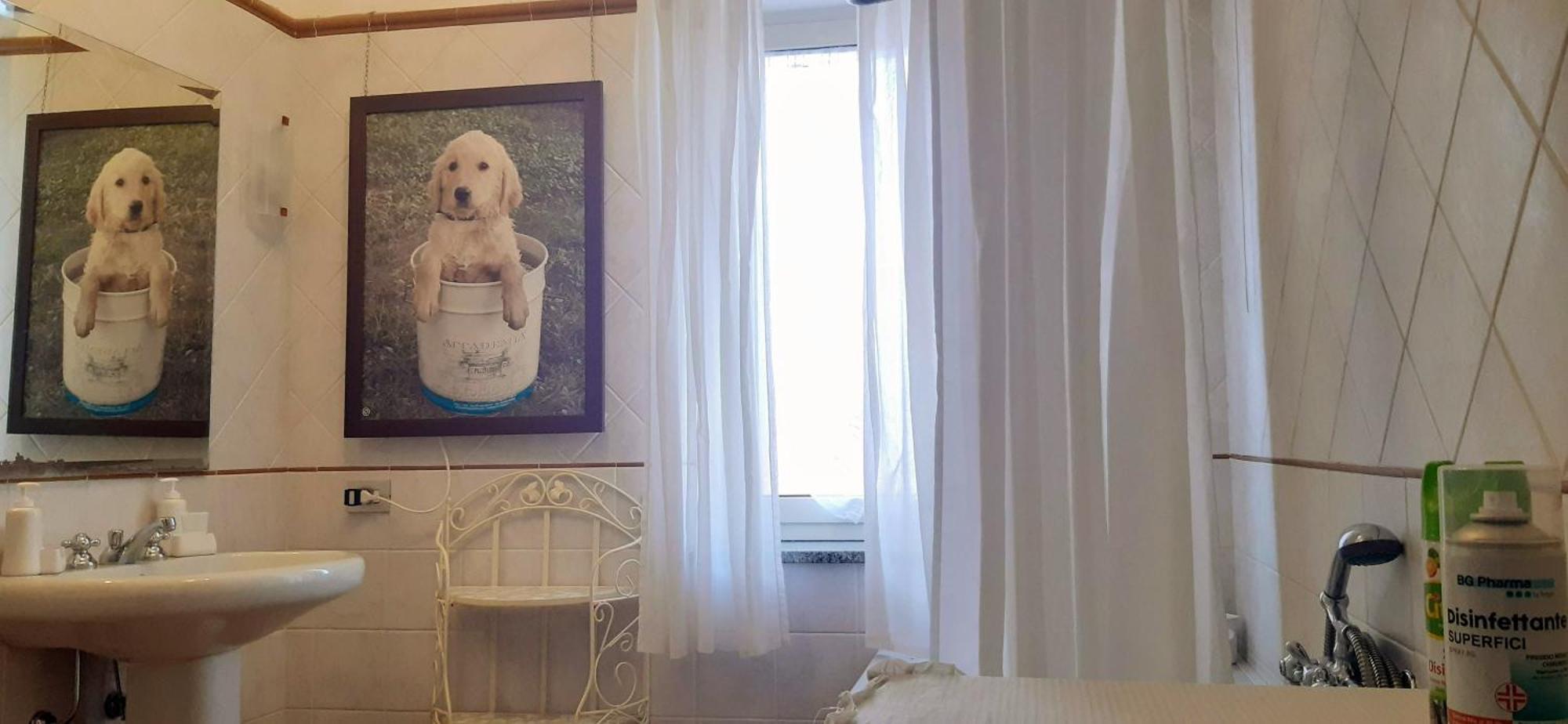 Fabiola B & B Marino Extérieur photo